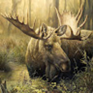 Meet your Posher, Jocelyn